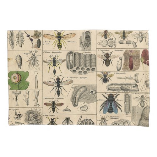 Bee Insect Bug Wasp Natural Nature Bees Painting Pillow Case