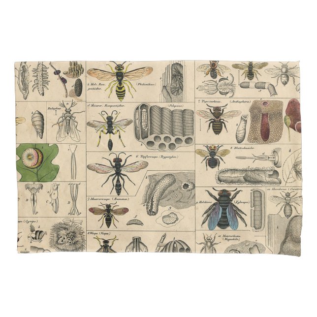 Bee Insect Bug Wasp Natural Nature Bees Painting Pillow Case (Front)