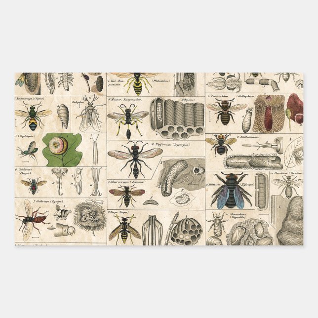 Bee Insect Bug Wasp Natural Nature Bees Painting Rectangular Sticker (Front)