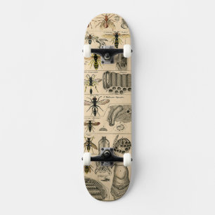 Bee Insect Bug Wasp Natural Nature Bees Painting Skateboard