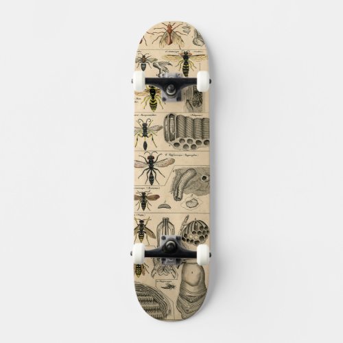 Bee Insect Bug Wasp Natural Nature Bees Painting Skateboard