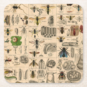 Bee Insect Bug Wasp Natural Nature Bees Painting Square Paper Coaster