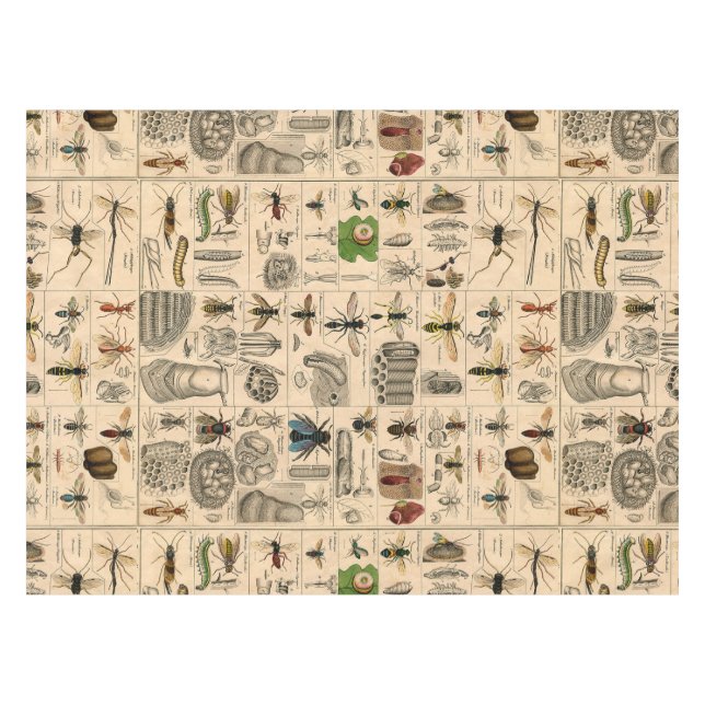 Bee Insect Bug Wasp Natural Nature Bees Painting Tablecloth (Front (Horizontal))
