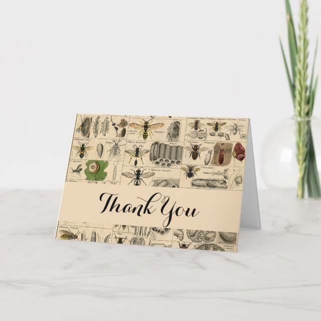 Bee Insect Bug Wasp Natural Nature Bees Painting Thank You Card (Front)