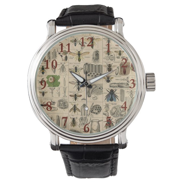 Bee Insect Bug Wasp Natural Nature Bees Painting Watch (Front)