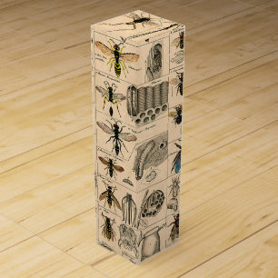 Bee Insect Bug Wasp Natural Nature Bees Painting Wine Box