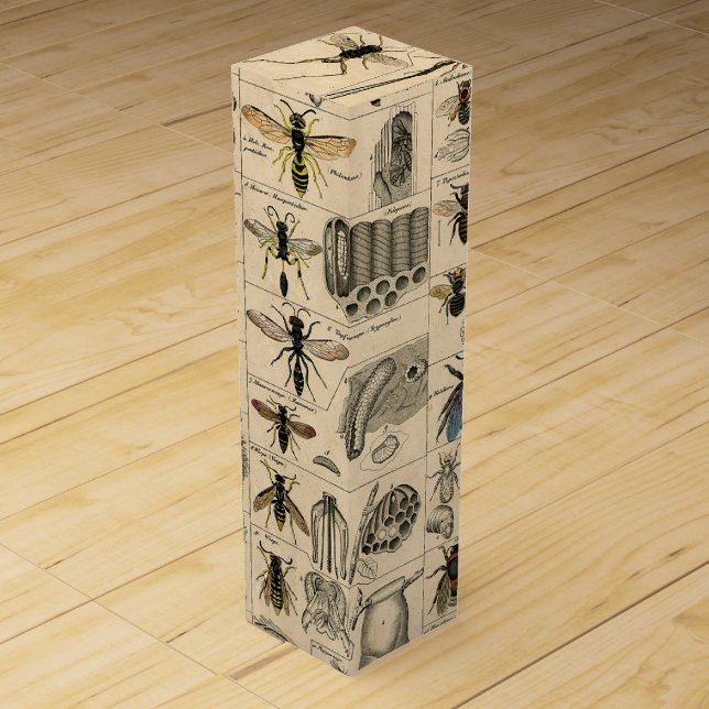 Bee Insect Bug Wasp Natural Nature Bees Painting Wine Box (Front)