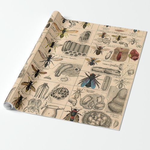 Bee Insect Bug Wasp Natural Nature Bees Painting Wrapping Paper