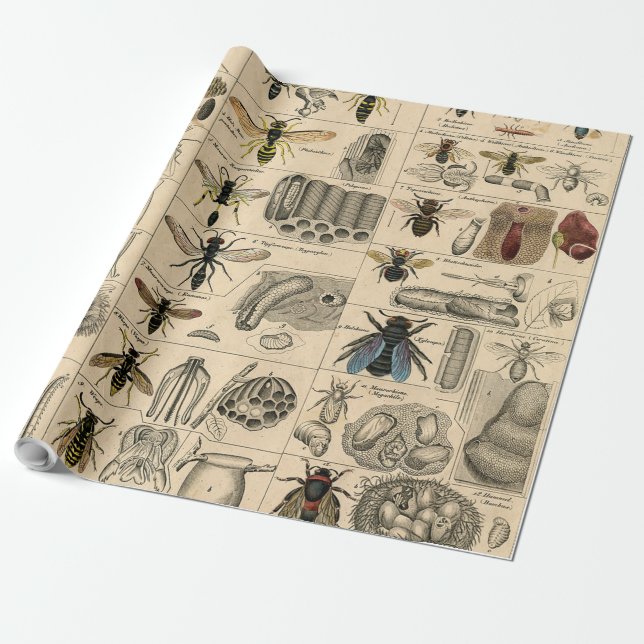 Bee Insect Bug Wasp Natural Nature Bees Painting Wrapping Paper (Unrolled)