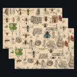 Bee Insect Bug Wasp Natural Nature Bees Painting Wrapping Paper Sheets<br><div class="desc">Bees and wasps illustration from an antique image from a Natural History book from the mid-1800s,  this old image identifies different bee and wasp insects.</div>