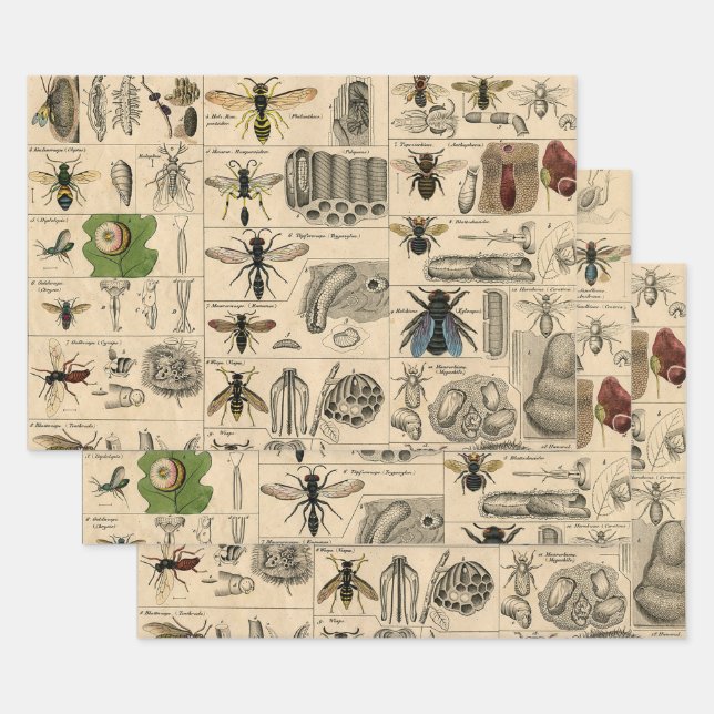 Bee Insect Bug Wasp Natural Nature Bees Painting Wrapping Paper Sheets (Set)
