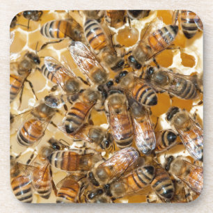 Bee keeping at Arlo's Honey Farm Beverage Coaster