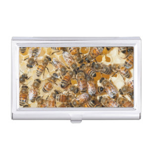 Bee keeping at Arlo's Honey Farm Business Card Holder