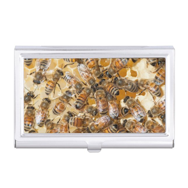 Bee keeping at Arlo's Honey Farm Business Card Holder (Front)