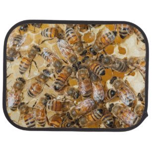 Bee keeping at Arlo's Honey Farm Car Mat