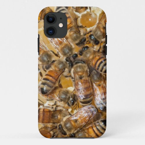 Bee keeping at Arlos Honey Farm iPhone 11 Case