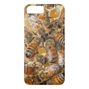 Bee keeping at Arlo's Honey Farm iPhone 8 Plus/7 Plus Case