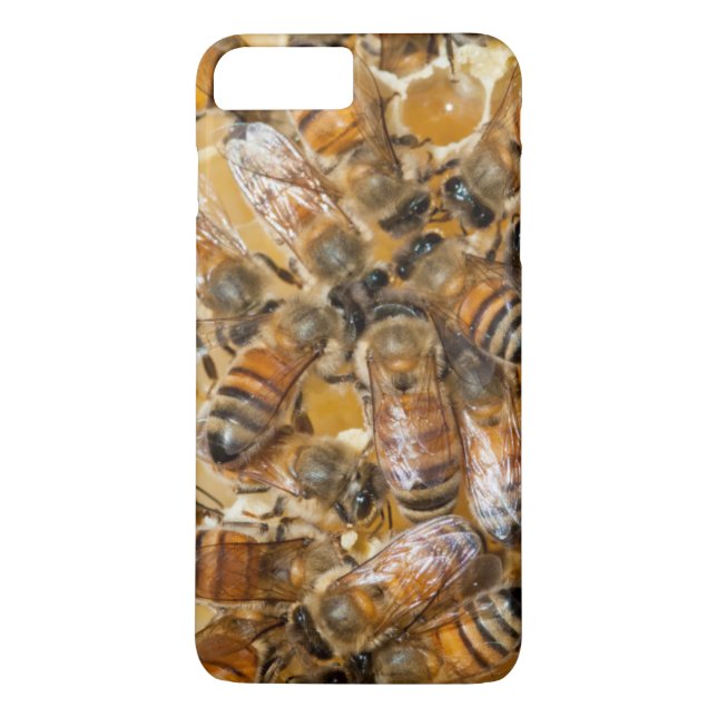 Bee keeping at Arlo's Honey Farm Case-Mate iPhone Case (Back)