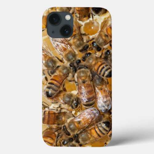 Bee keeping at Arlos Honey Farm iPhone 13 Case