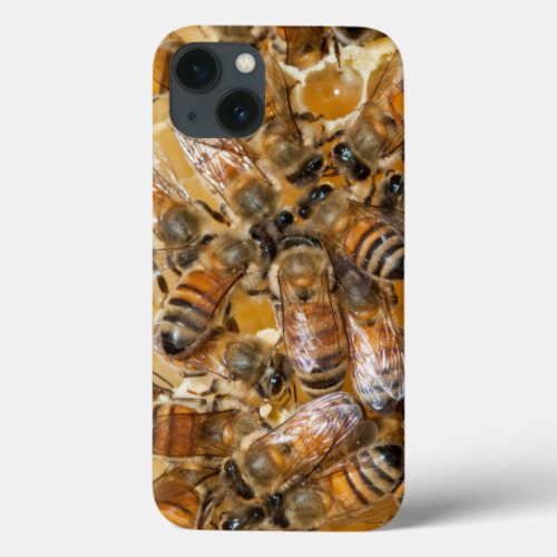 Bee keeping at Arlos Honey Farm iPhone 13 Case