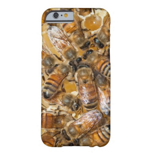 Bee keeping at Arlos Honey Farm Barely There iPhone 6 Case