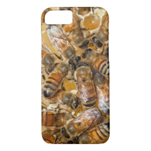 Bee keeping at Arlo's Honey Farm iPhone 8/7 Case