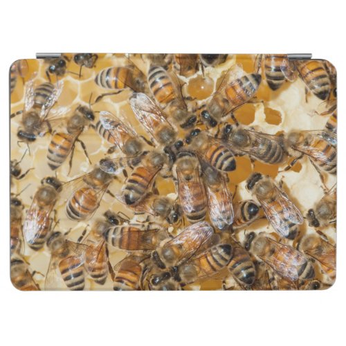 Bee keeping at Arlos Honey Farm iPad Air Cover