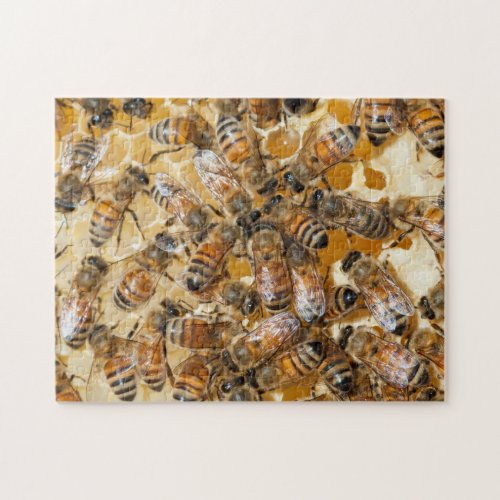 Bee keeping at Arlos Honey Farm Jigsaw Puzzle