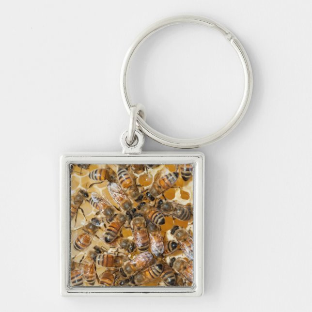Bee keeping at Arlo's Honey Farm Keychain (Front)