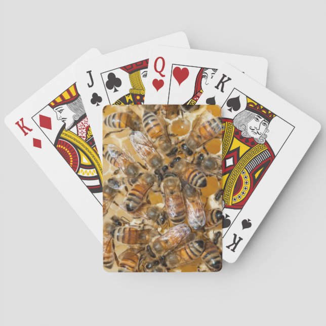 Bee keeping at Arlo's Honey Farm Poker Cards (Back)