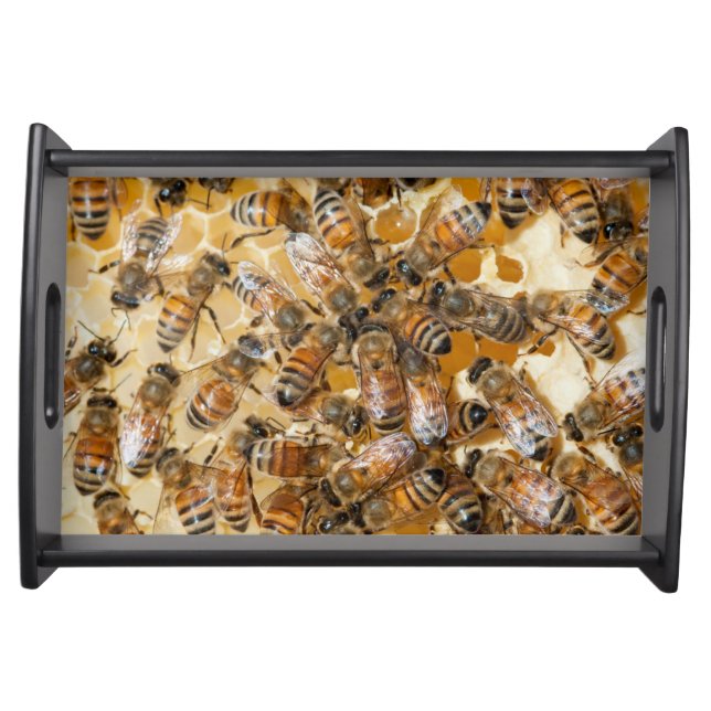 Bee keeping at Arlo's Honey Farm Serving Tray (Front)