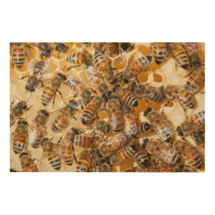 Bee keeping at Arlo's Honey Farm Wood Wall Decor