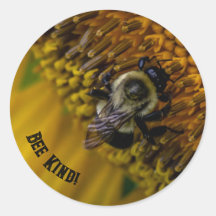 Bee Kind Stickers