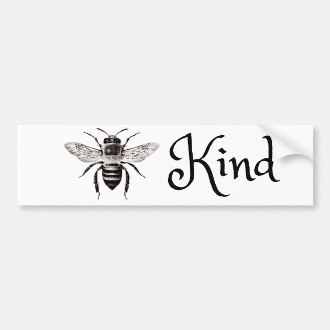 Bee Kind - Whimsical Bumper Sticker (Front)