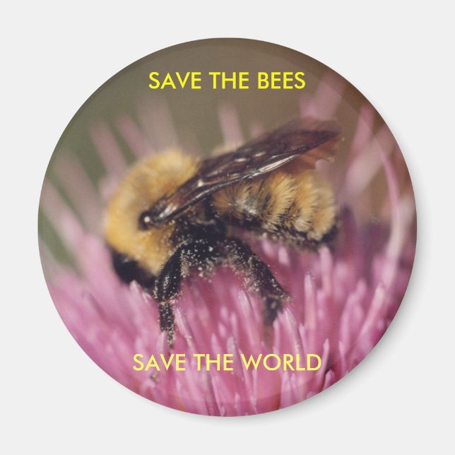 Bee Magnet (Front)