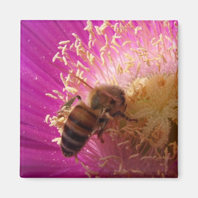 Bee Magnets (Front)