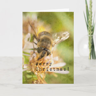 Bee Merry 2, Honey Bee Christmas Holiday Card