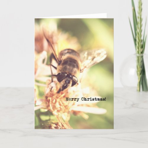 Bee Merry Christmas Vintage Look Photo Holiday Card