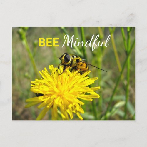 Bee Mindful Bumble Bee Dandelion Flower Postcard