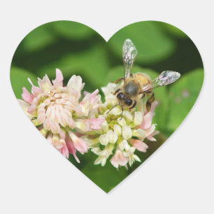 BEE MINE Bumble Bee 4 Leaf Clover Honey Flowers  Heart Sticker