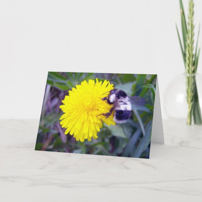 Bee My Valentine? Holiday Card (Front)