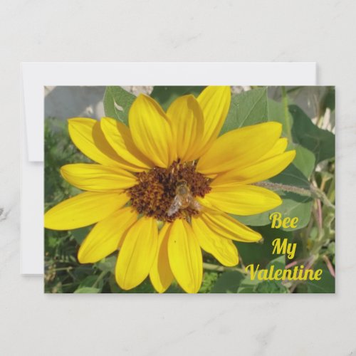 Bee My Valentine Sunflower Bee Photo Valentines Holiday Card