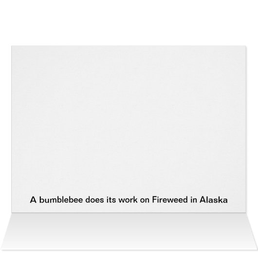 Bee Nice (Inside Horizontal (Top))