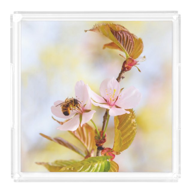 Bee On A Cherry Flower Acrylic Tray (Large)