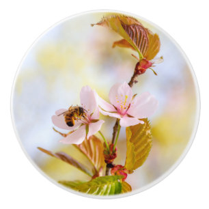Bee On A Cherry Flower Ceramic Knob