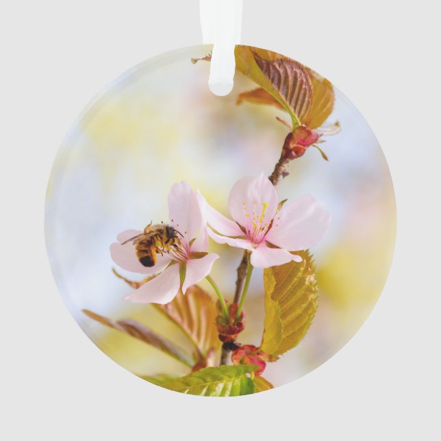 Bee On A Cherry Flower Ornament (Back)