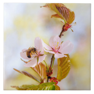 Bee On A Cherry Flower Tile