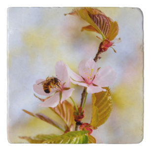 Bee On A Cherry Flower Trivet