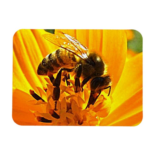 Bee on a Flower Magnet (Horizontal)