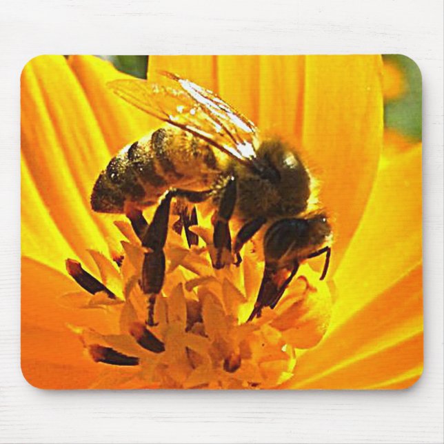 Bee on a Flower Mouse Pad (Front)